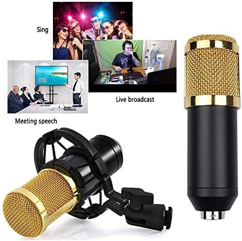 Professional Condenser Microphone - Kit