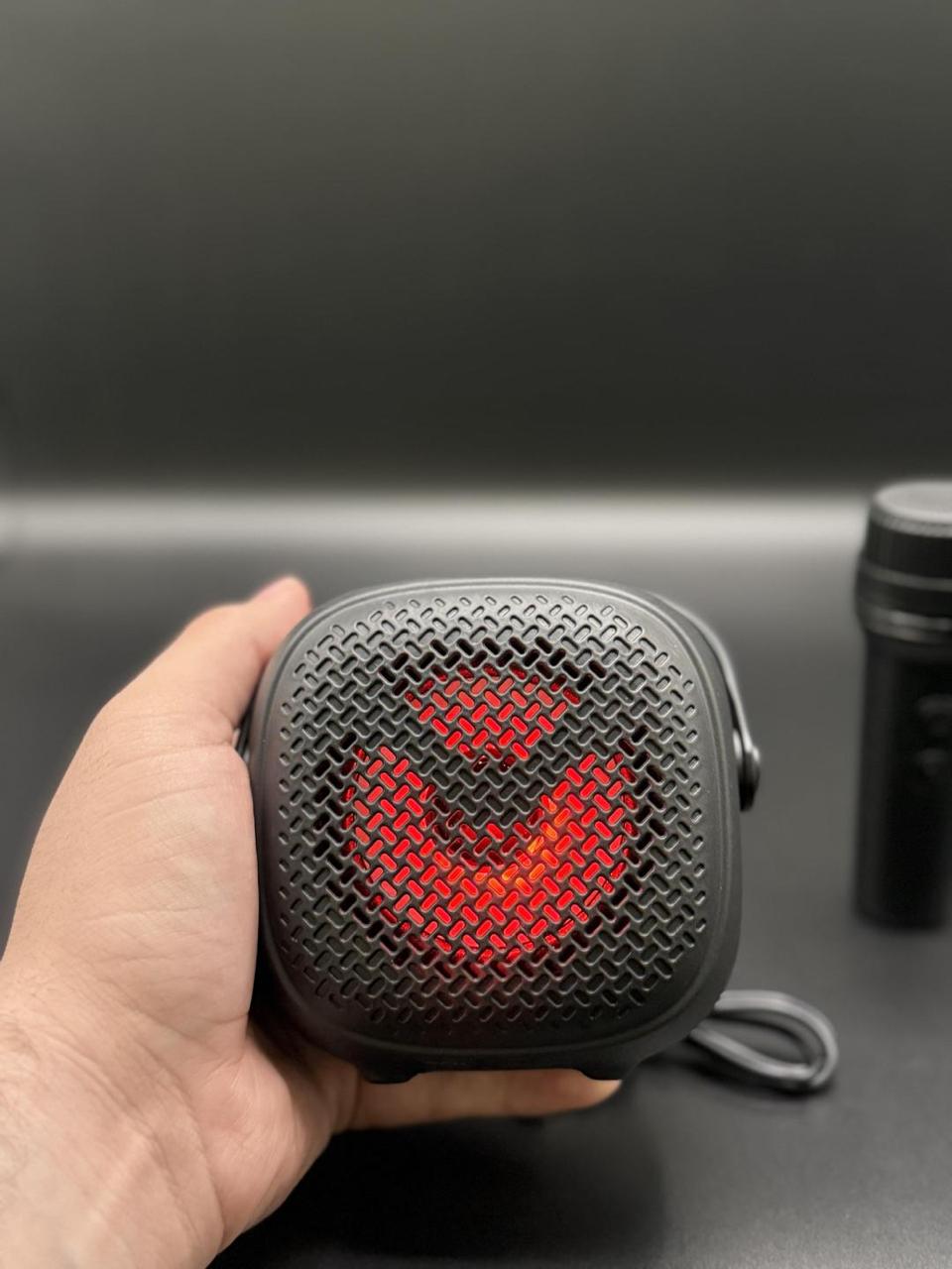 Greatnice Wireless Speaker Portable Microphone